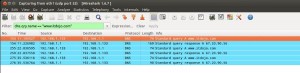 Wireshark Capture - Ubuntu