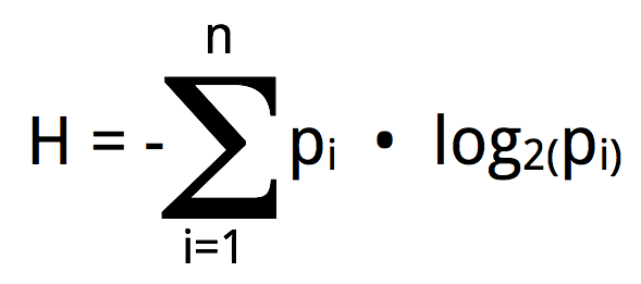 Information Entropy Equation